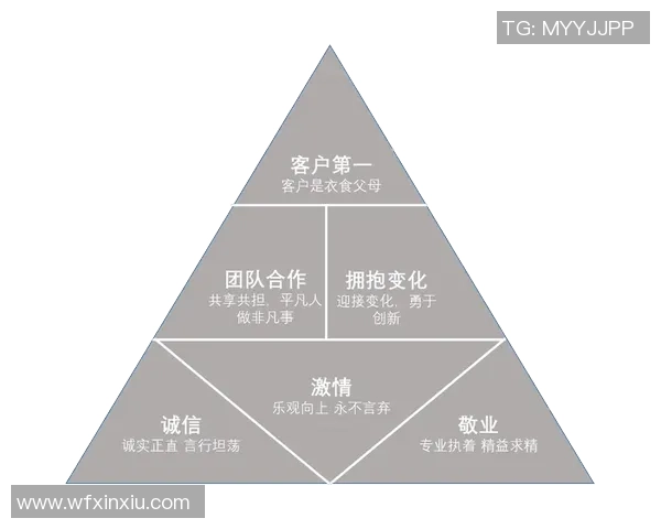 杭州足球队精英赛点评团队协作表现分析与启示