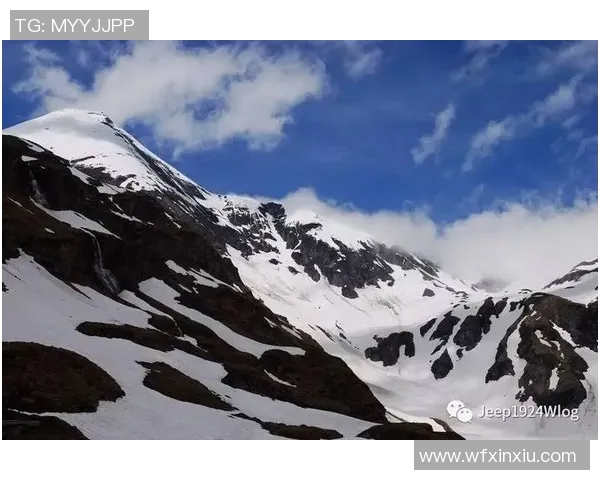 武汉篮球队的耐力之路：从训练到比赛的全景解析与展望