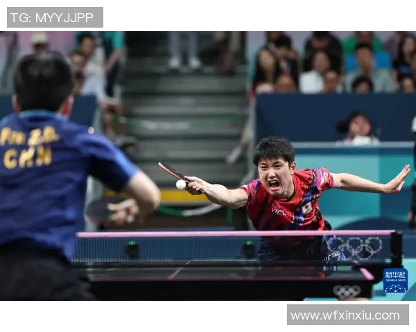 深圳乒乓球队逆袭之路的真实记录与奋斗精神的展现