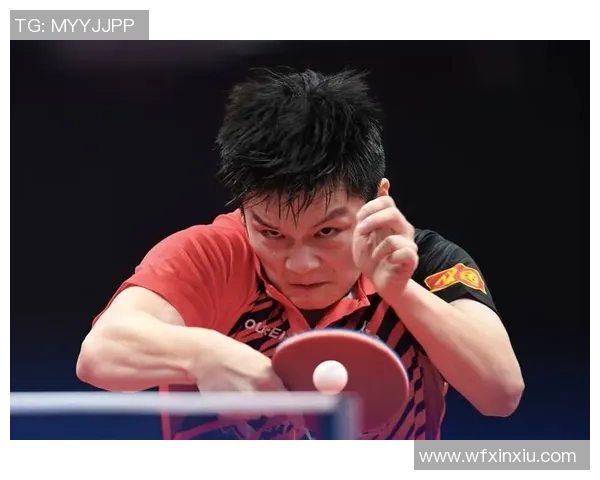 乒乓球巨献：探秘成都乒乓球队的节奏