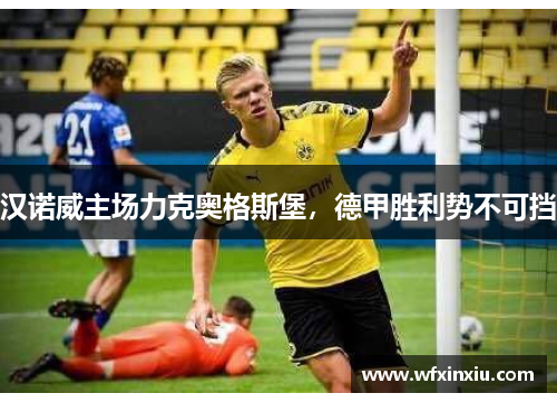 汉诺威主场力克奥格斯堡，德甲胜利势不可挡